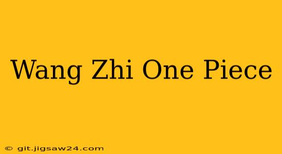 Wang Zhi One Piece